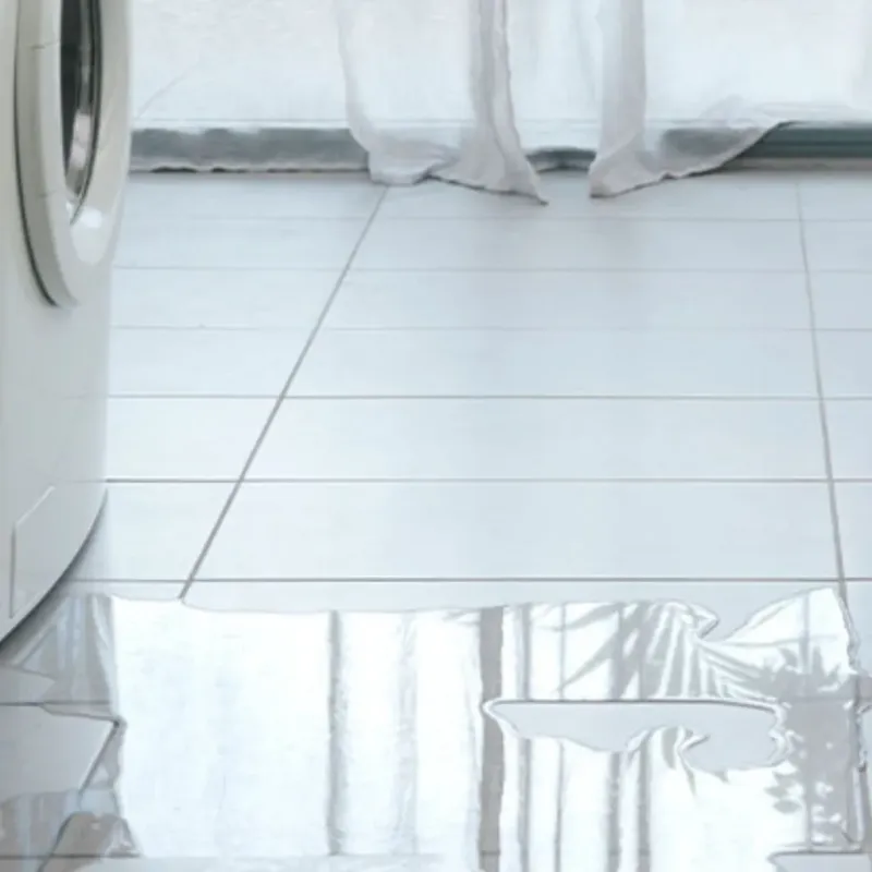 Appliance Leak Cleanup in Baldwin, MI