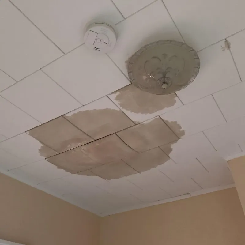 Ceiling Water Damage Repair in Baldwin, MI