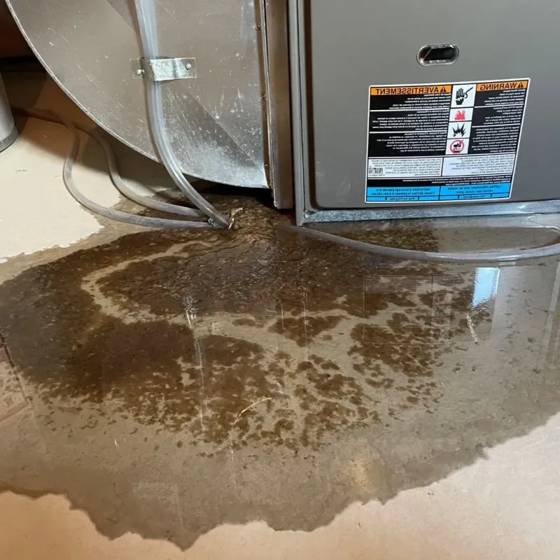 Pipe Burst and Leak Restoration in Baldwin, MI