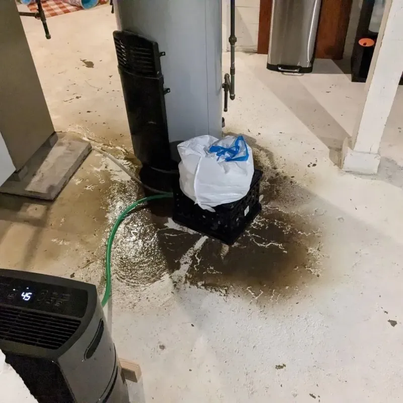 Sewage Backup Cleanup Service in Baldwin, MI